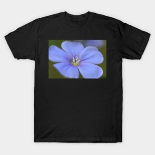 Wildflower 04 T-Shirt